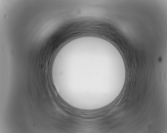 X0000092220431200709140925