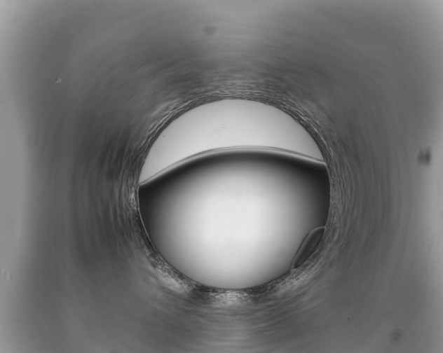 X0000092220432200709140925