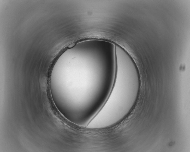 X0000092220434200709140925