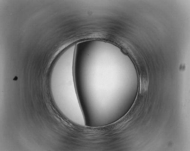 X0000092220435200709140925