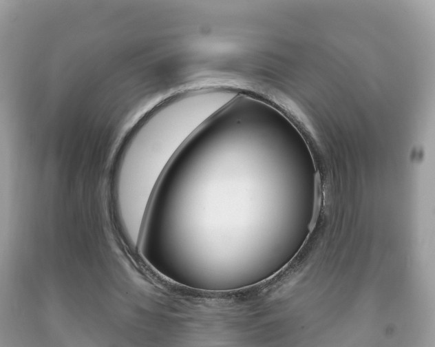 X0000092220436200709140925