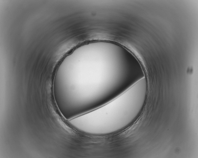 X0000092220437200709140925