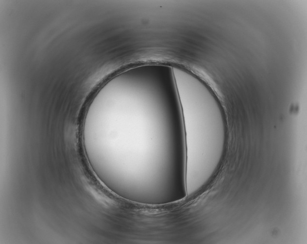 X0000092220439200709140925