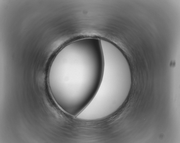 X0000092220440200709140925