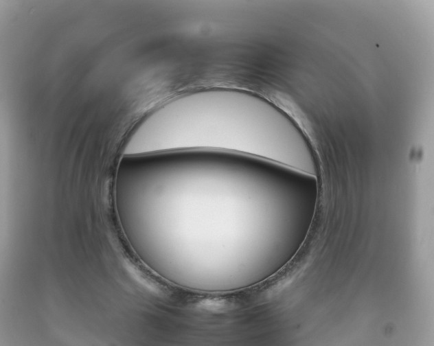 X0000092220441200709140925