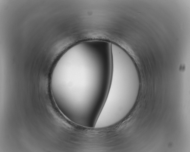 X0000092220442200709140925
