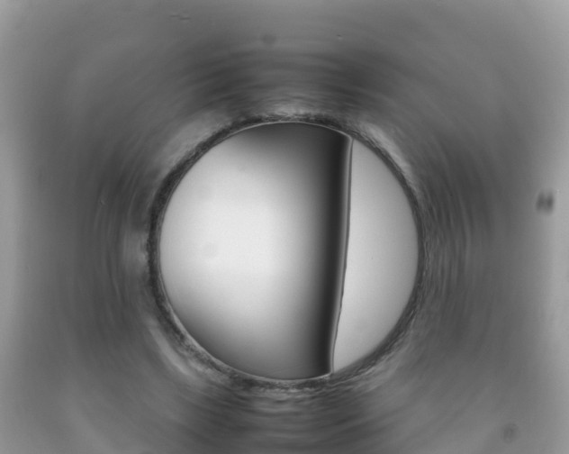 X0000092220443200709140925