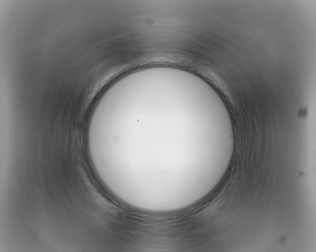 X0000092220444200709140925