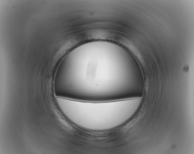 X0000092220445200709140925