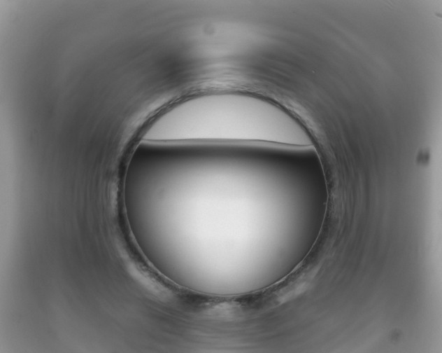 X0000092220446200709140925
