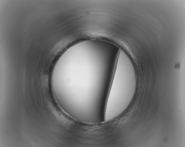 X0000092220447200709140925