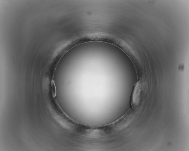 X0000092220448200709140925
