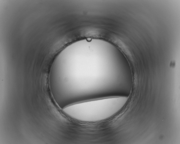 X0000092220449200709140925