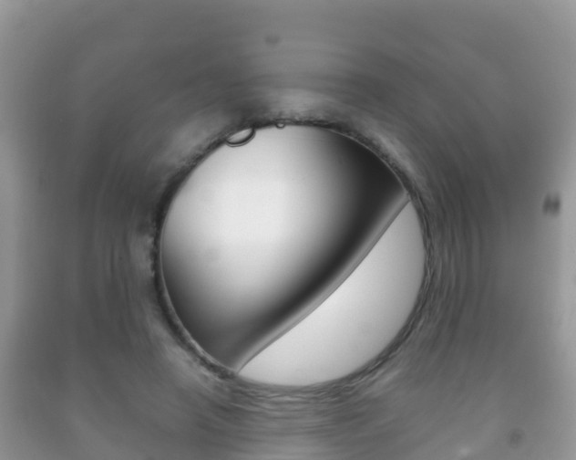 X0000092220450200709140925