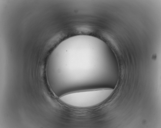 X0000092220451200709140925