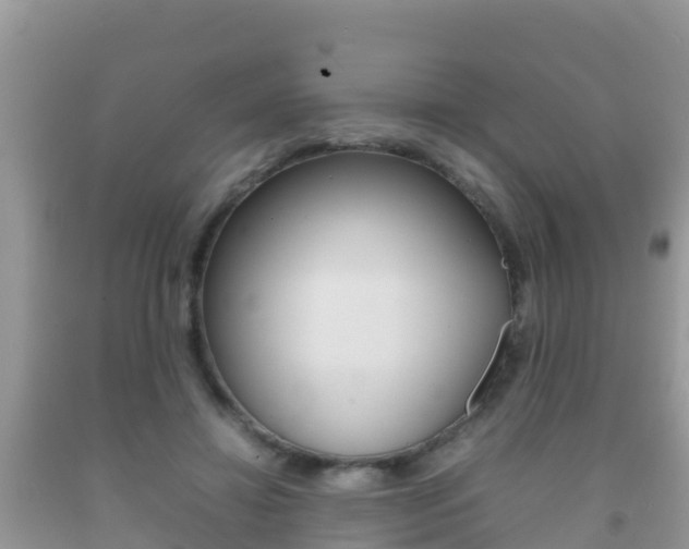 X0000092220452200709140925