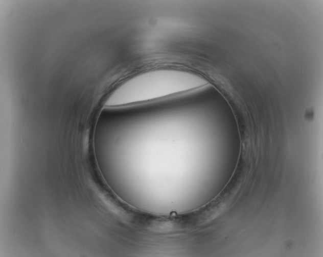 X0000092220454200709140925