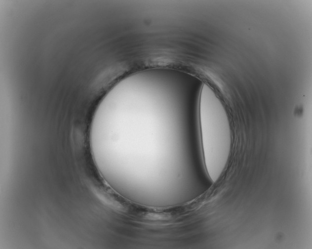 X0000092220455200709140925