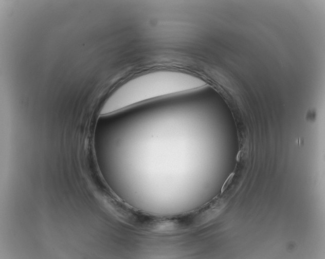 X0000092220456200709140925