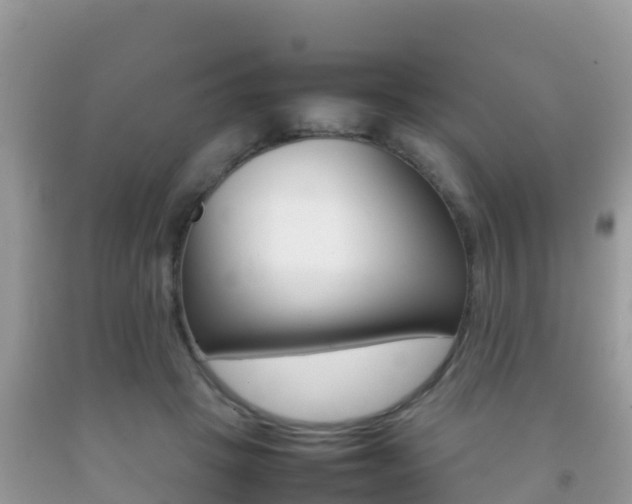X0000092220457200709140925