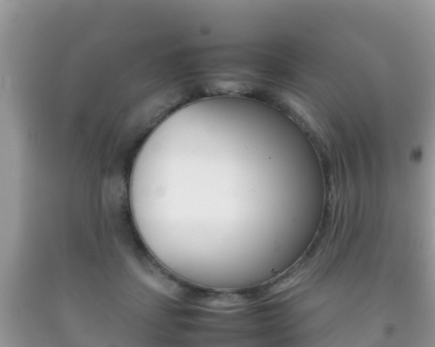 X0000092220459200709140925