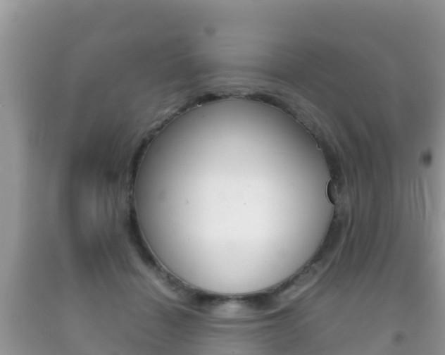 X0000092220460200709140925