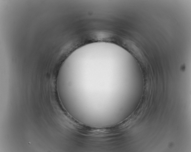 X0000092220461200709140925