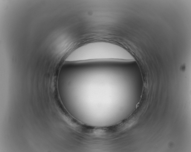 X0000092220462200709140925