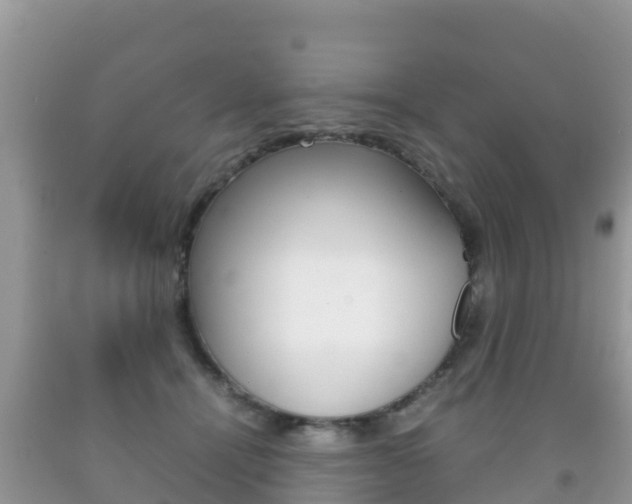 X0000092220464200709140925