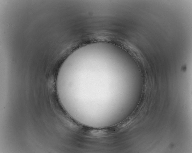 X0000092220465200709140925