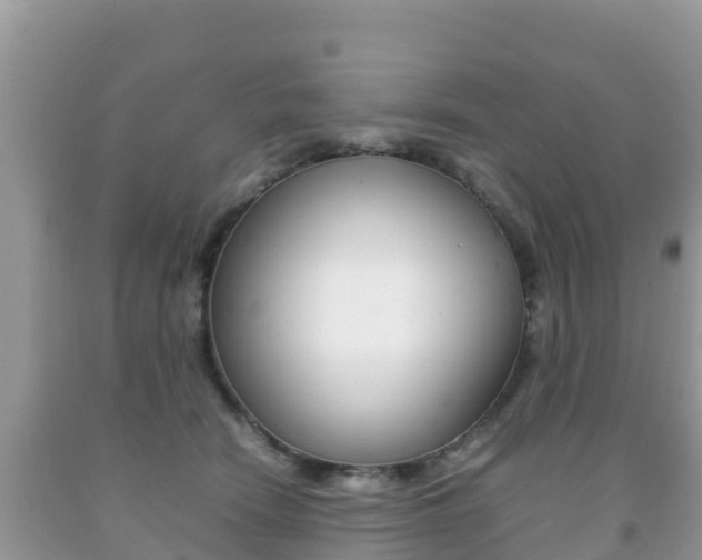 X0000092220466200709140925