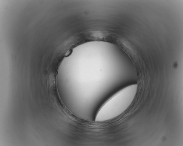X0000092220467200709140925