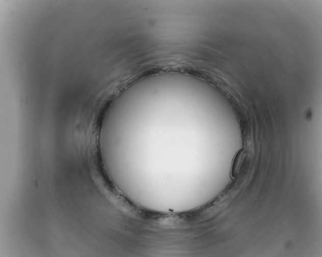 X0000092220468200709140925