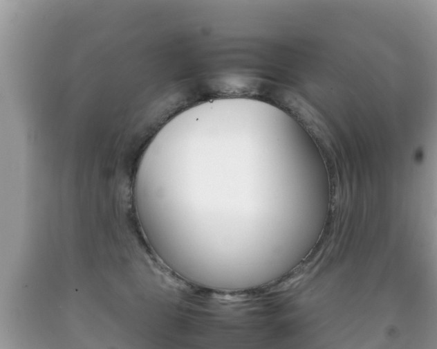 X0000092220469200709140925