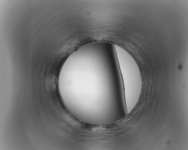X0000092220470200709140925