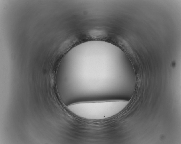 X0000092220471200709140925