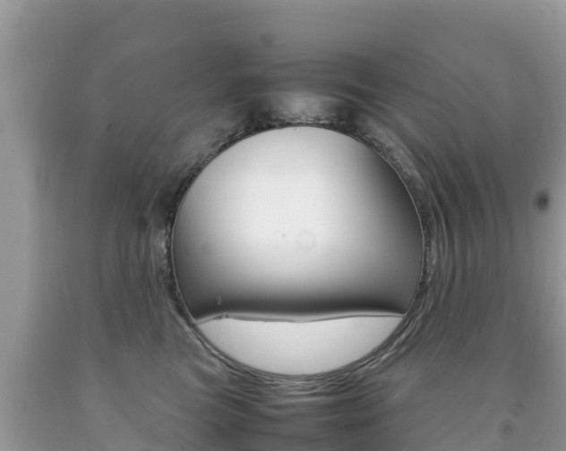 X0000092220473200709140925