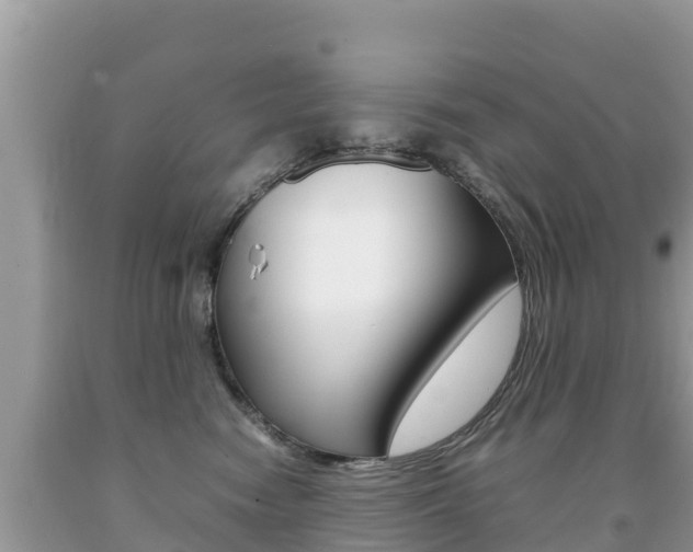 X0000092220474200709140925