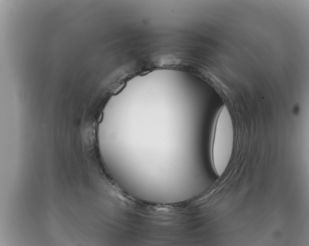X0000092220475200709140925