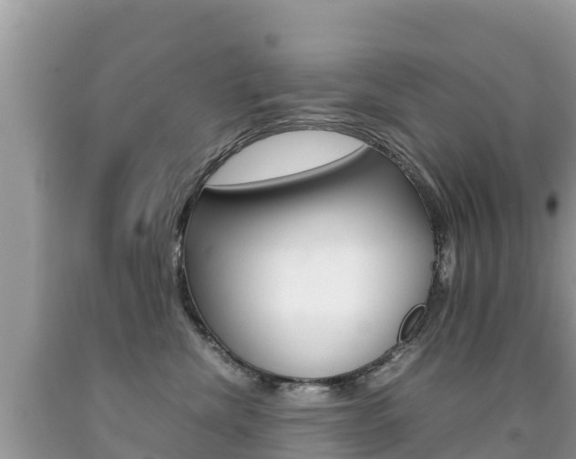 X0000092220476200709140925