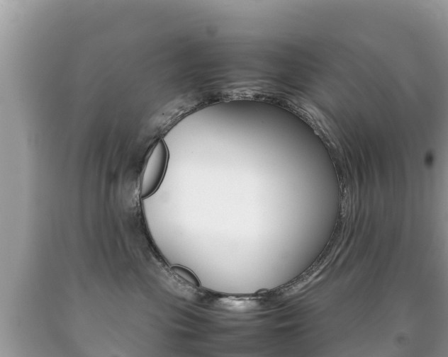 X0000092220477200709140925