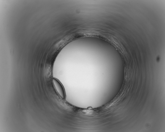 X0000092220478200709140925
