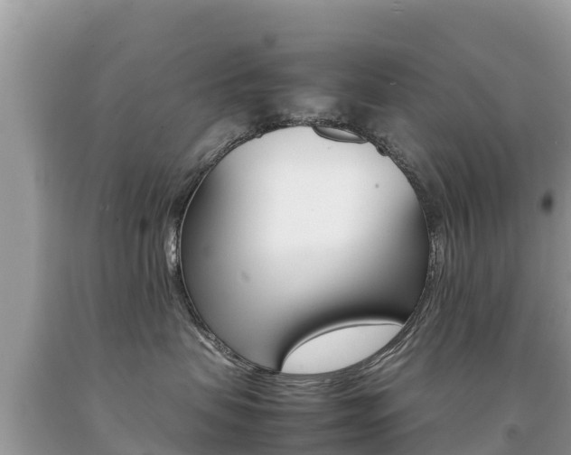 X0000092220479200709140925