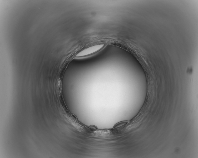 X0000092220480200709140925