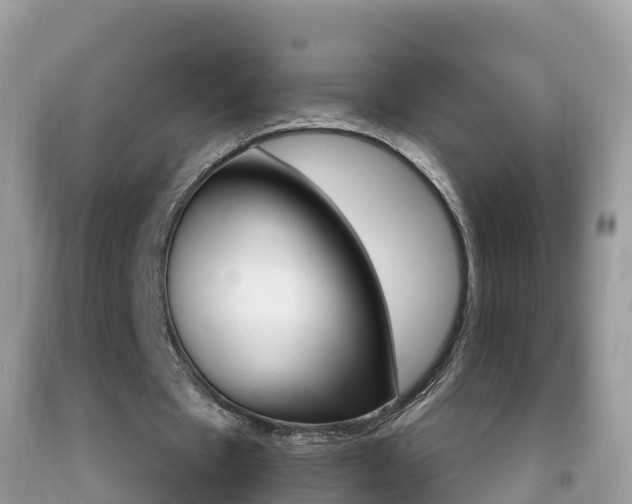X0000092220481200709140925
