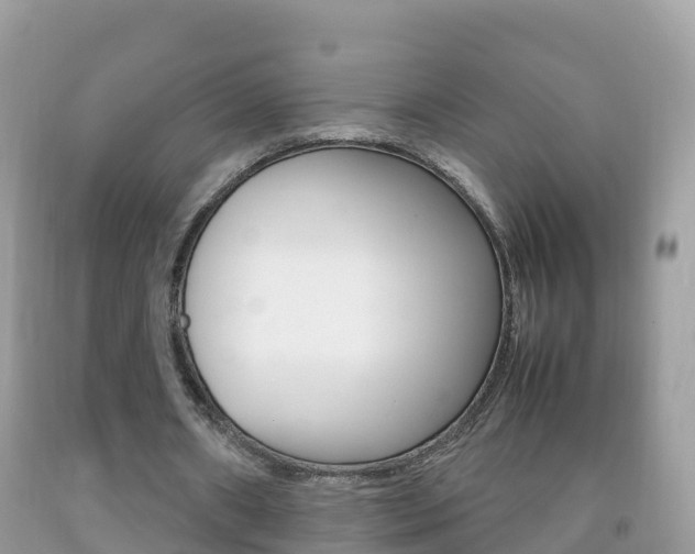 X0000092220482200709140925
