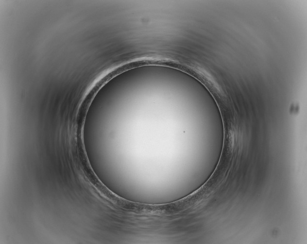 X0000092220484200709140925