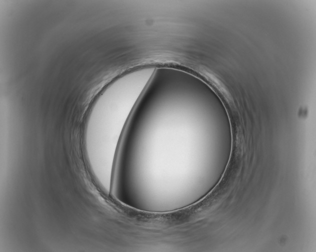 X0000092220485200709140925