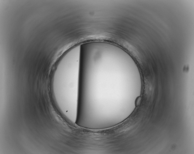 X0000092220486200709140925