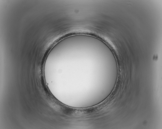 X0000092220487200709140925